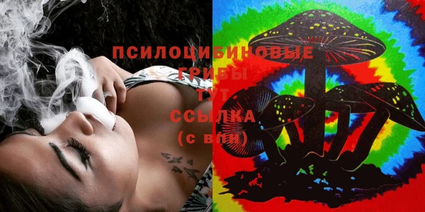 прущая мука Алзамай