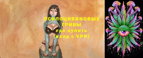 спайс Алексеевка