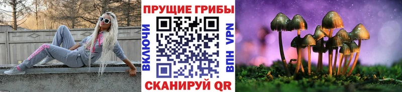 Галлюциногенные грибы Psilocybe  Тольятти 