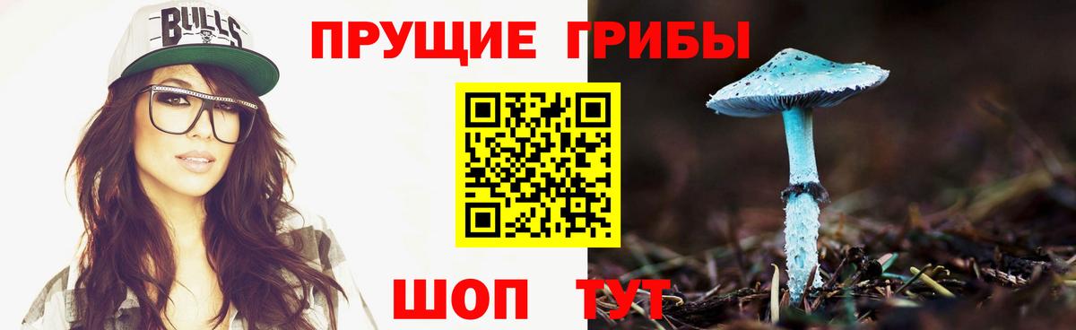 где купить   Вход с VPN  Тольятти  Псилоцибиновые грибы Cubensis 